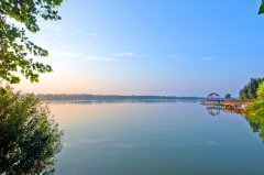 白河濕地退化項目